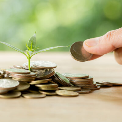 Planting trees on a coin pile with sunlight to save money, saving and investment ideas or future financial planning, ideas for business, innovation, growth and money.